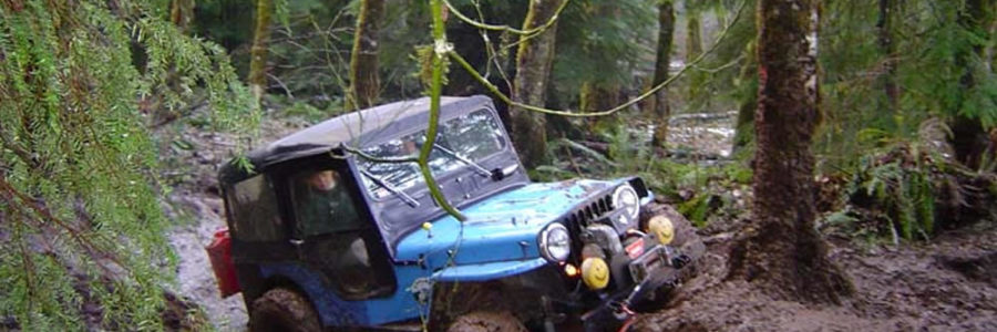 Rob Stafford and His 1948 CJ-2A